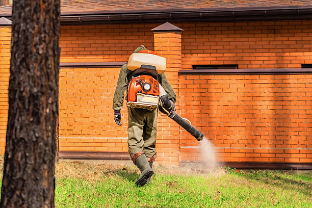 Bed Bug Clearance Verification and Documentation in Northwood